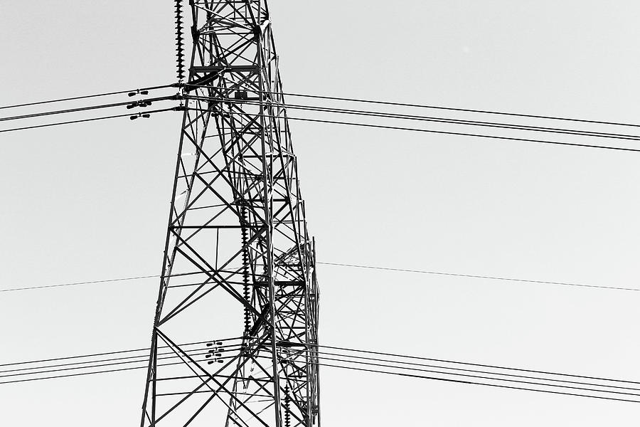 Wired 4 BW HC Photograph by Mary Bedy