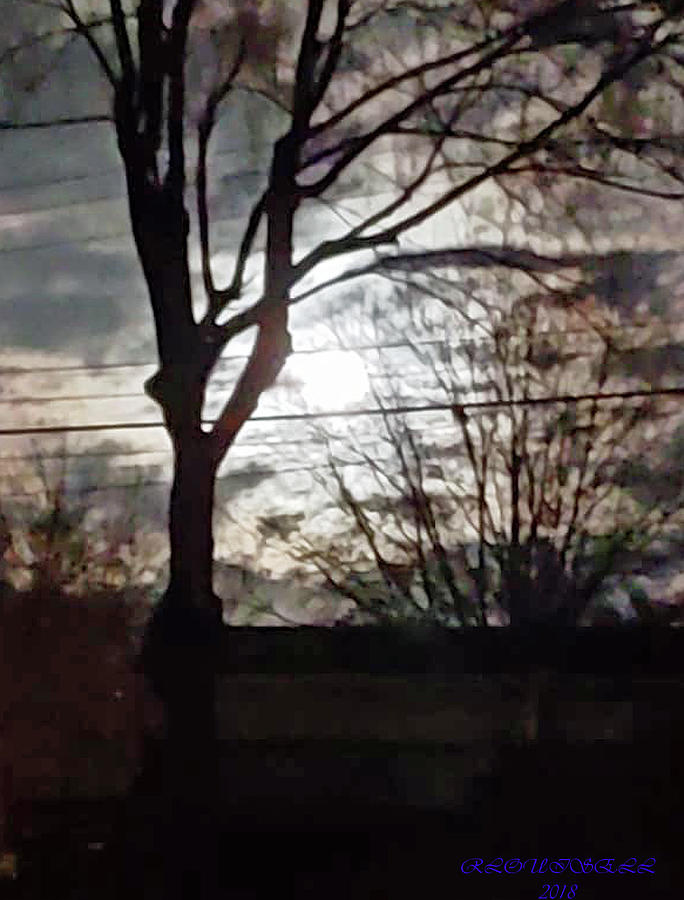 Moonlight Photograph - Wired Moonlight by Robyn Louisell Moonlight Photograph - Wired Moonlight by Robyn Louisell