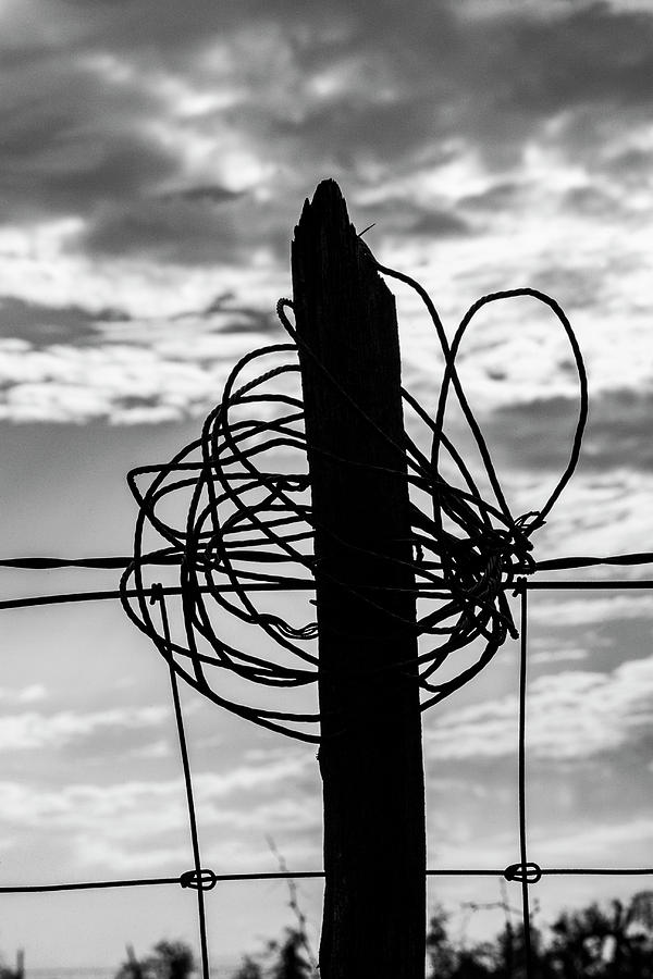 Wired post Photograph by Jason Hughes