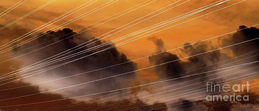 Wires Photograph by Cheryl Del Toro