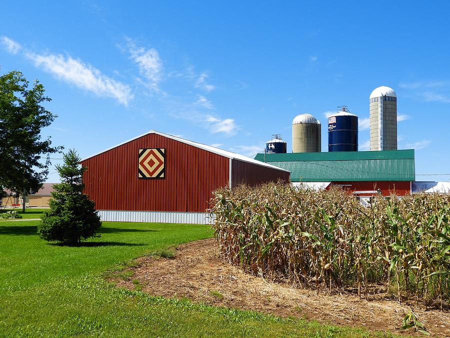 Wisconsin Barn Quilt Photograph By Barbara Ebeling