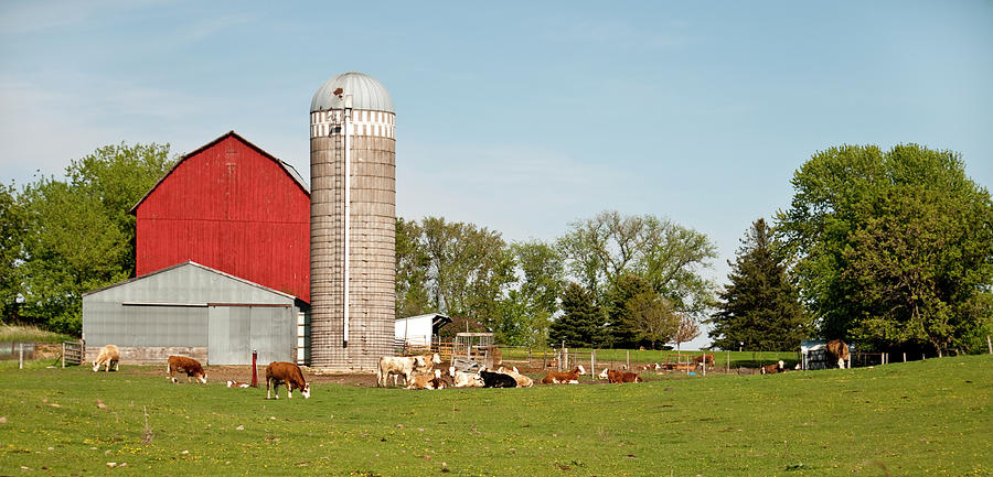 Wisconsin Farm Land Photograph by Jenniferphotographyimaging