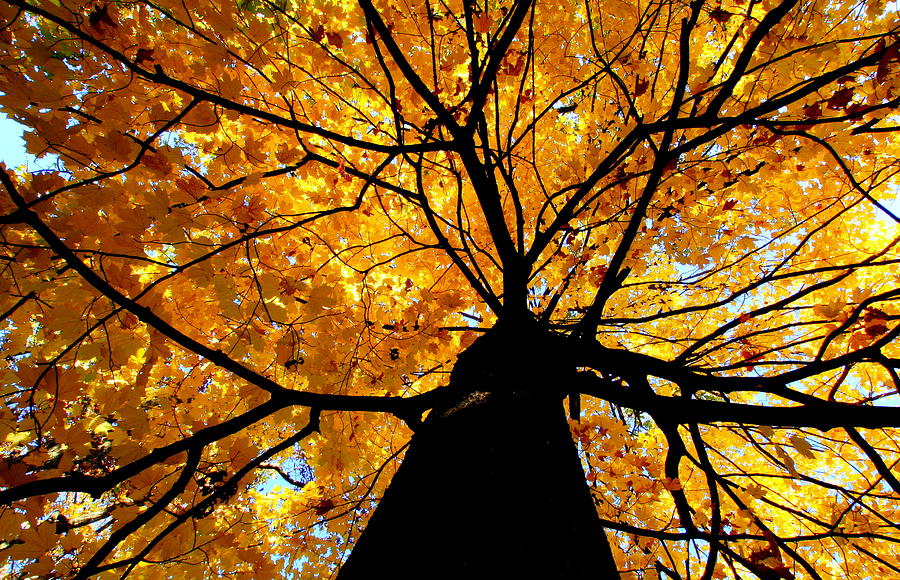 Wisconsin Photograph by J.castro Wisconsin Photograph by J.castro