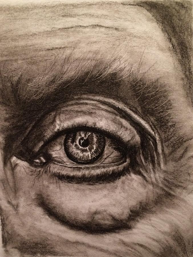 Wisdom Drawing by Katherine Pohl - Fine Art America