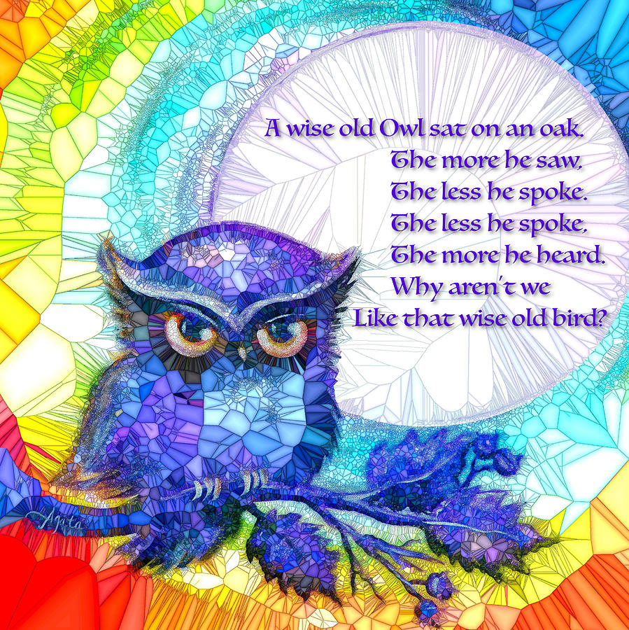 Wise Old Owl Digital Art by Agata Lindquist