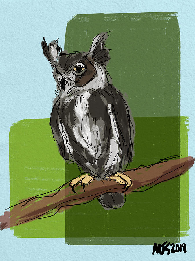 Wise Old Owl Digital Art by Michael Kallstrom