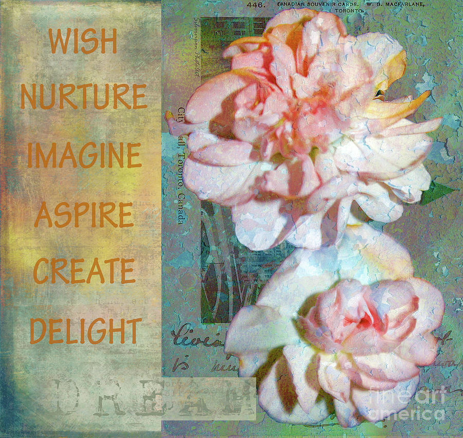 Wish Nurture Imagine Aspire Create Delight Dream Photograph by Nina Silver