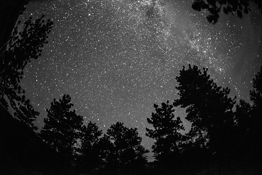 Wish Upon A Star Photograph by Jennifer Grossnickle