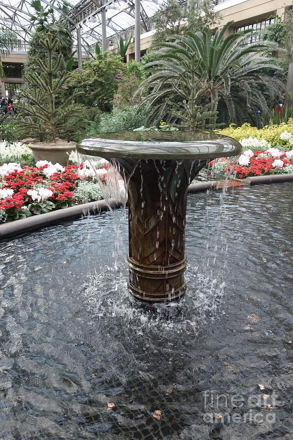 Fountain Photograph - Wishing Well Fountain  by Susan Carella