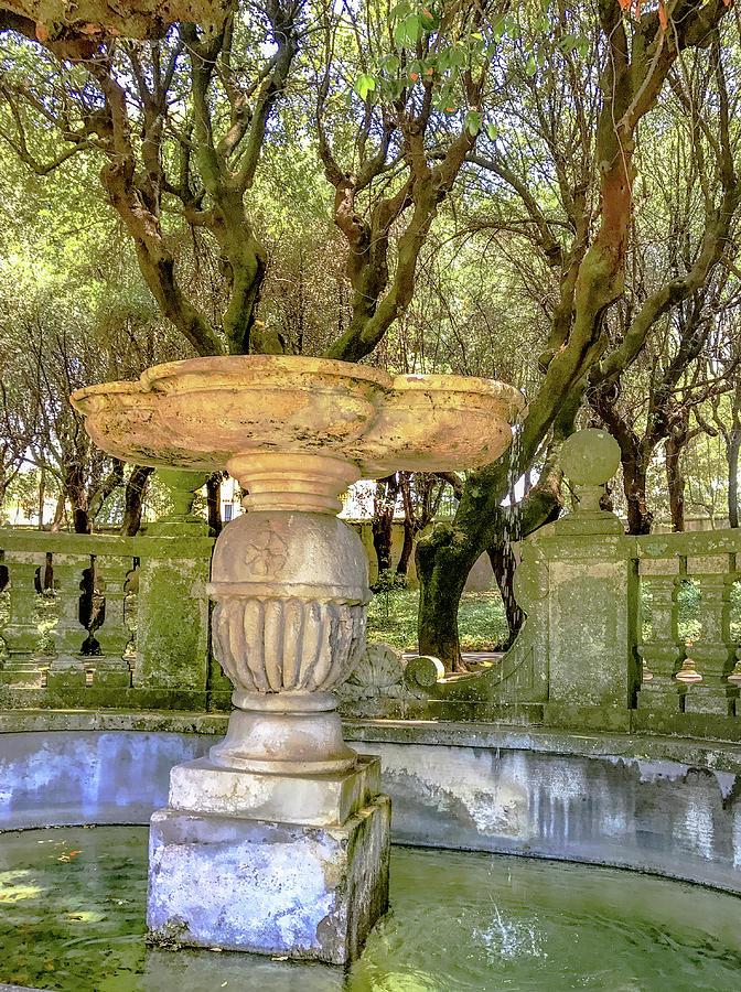 Alban Hills Photograph - Wishing Well by Joseph Yarbrough Alban Hills Photograph - Wishing Well by Joseph Yarbrough