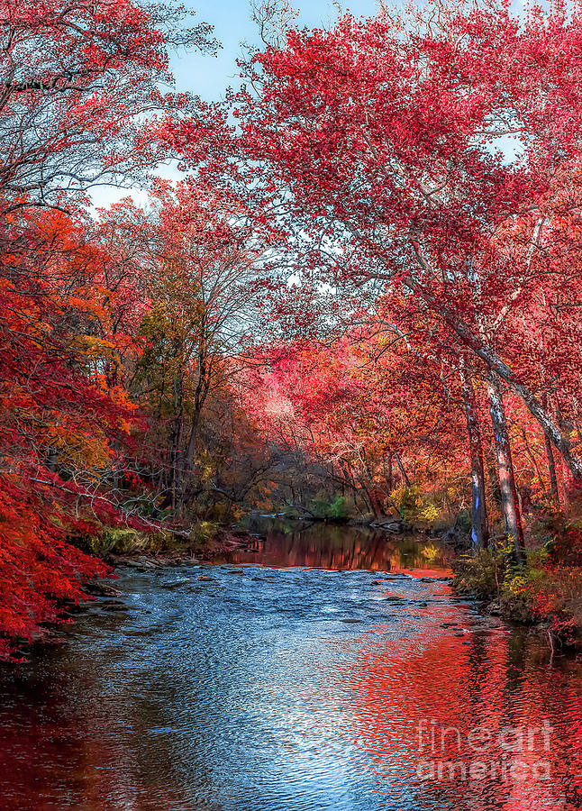 Wissahickon Creek Fall 1116 Photograph by Howard Roberts - Fine Art America