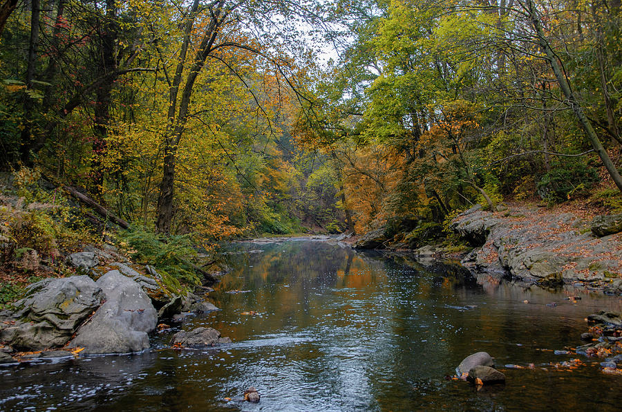 Wissahickon Creek on a Cool Autumn Morning Photograph by Bill Cannon