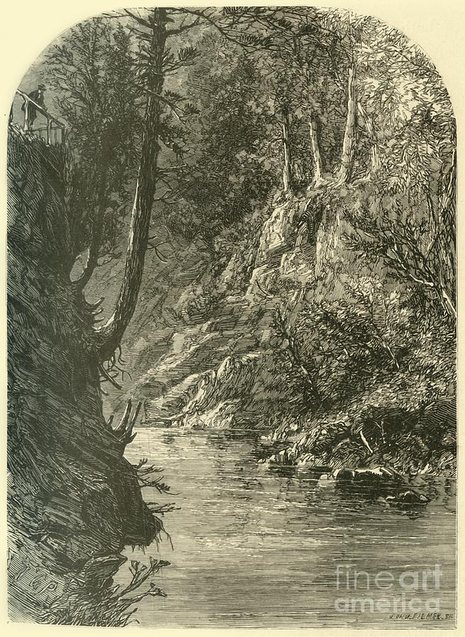 Wissahickon Drawing by Print Collector