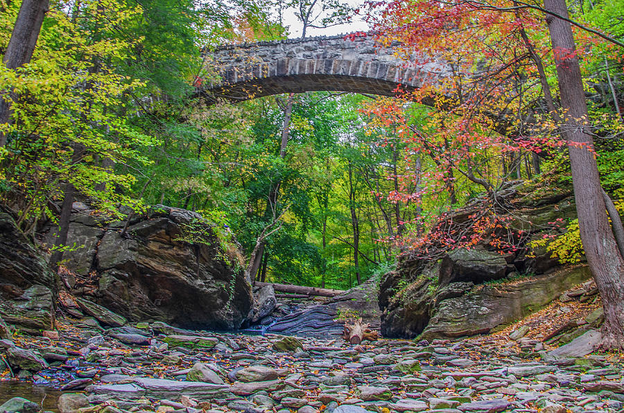 Wissahickon Valley at Devils Pool Photograph by Bill Cannon