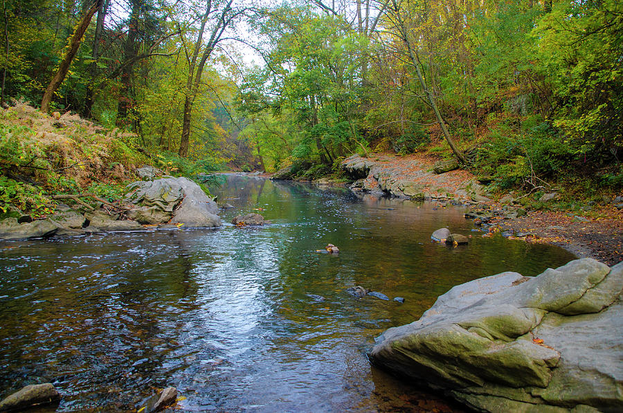 Wissahickon Valley - Autumn Photograph by Bill Cannon