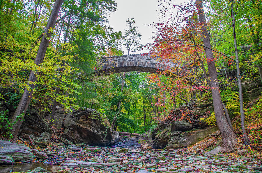 Wissahickon Valley - Devils Pool Photograph by Bill Cannon