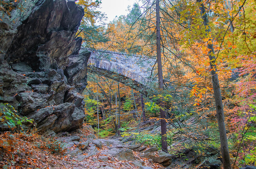 Wissahickon Valley Park Near Devils Pool in Autumn Photograph by Bill Cannon