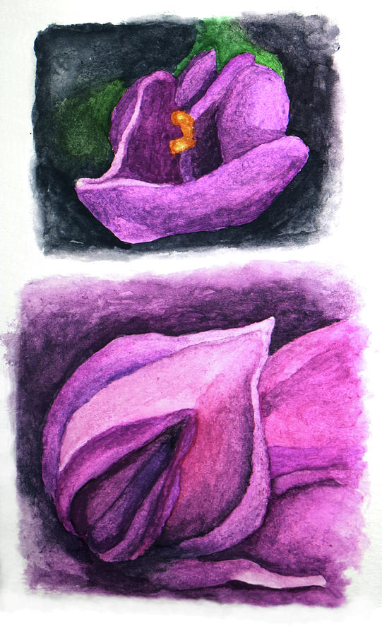 Wisteria Buds Up Close I and II Painting by Robert Morin