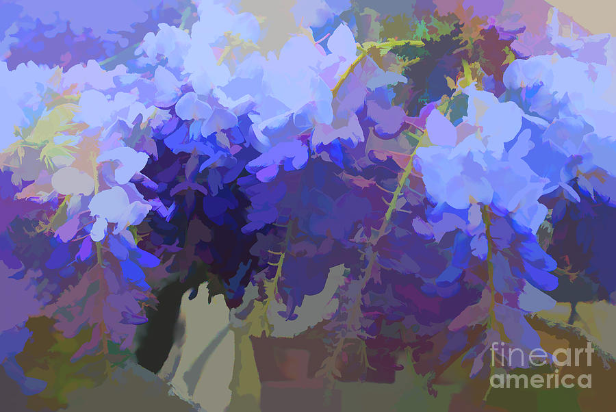 Wisteria Colours Digital Art by Fran Woods