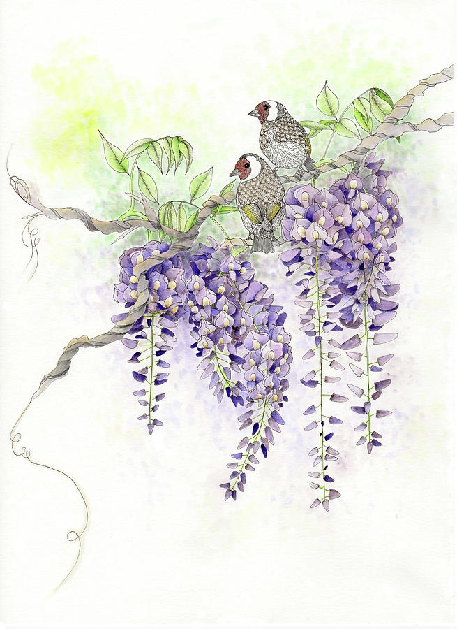 Animal Painting - Wisteria by The Tangled Peacock