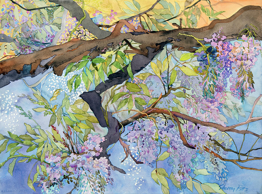 Tree Painting - Wisteria, Van Vleck by Sharon Pitts