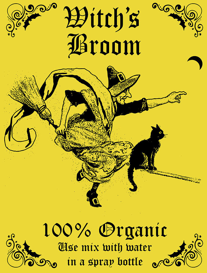 Witch Broom Digital Art by Long Shot