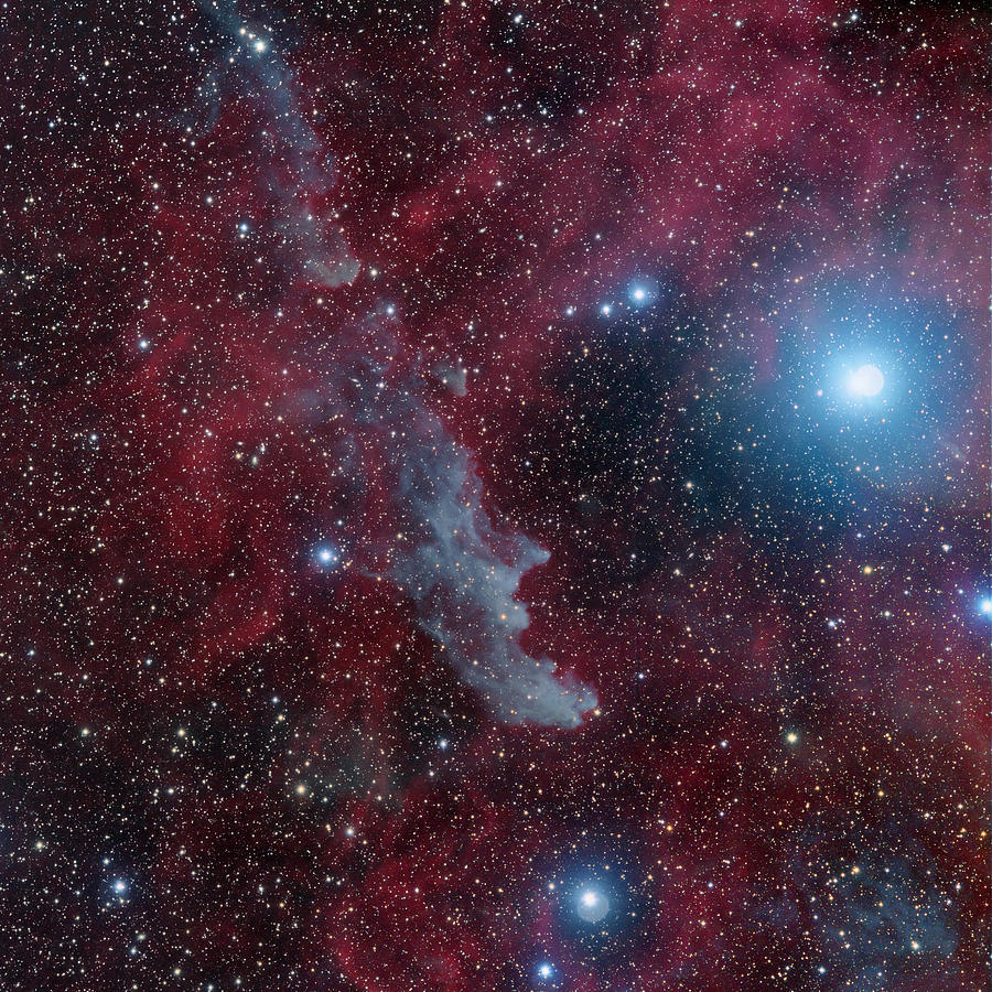 Witch Head Nebula Ic2118 Photograph by Image By Marco Lorenzi, Www.glitteringlights.com