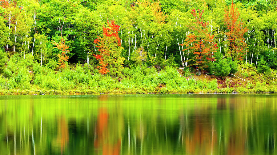Witch Hole Pond in Color Photograph by Ray Silva