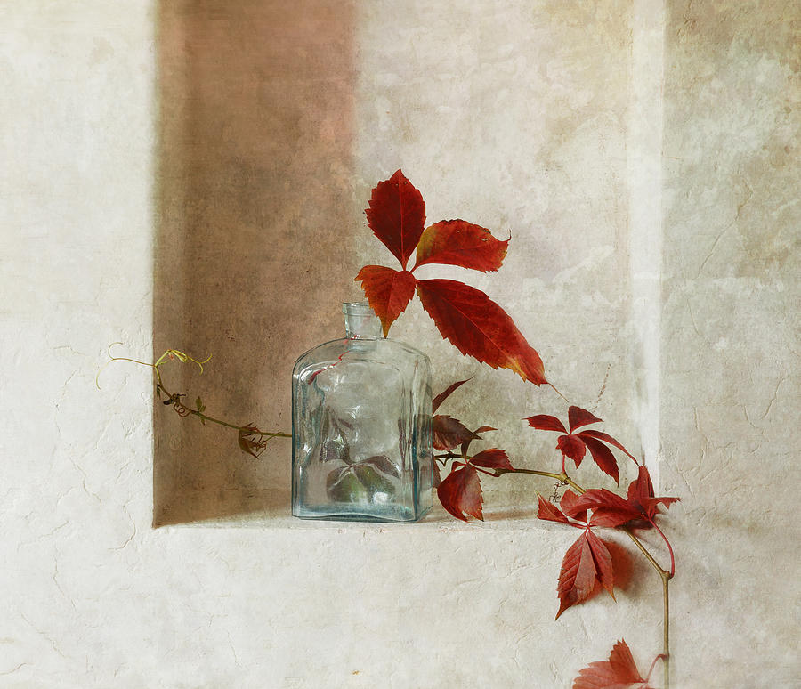 Still Life Photograph - With A Branch Of Wild Grapes by Ala Pneuma