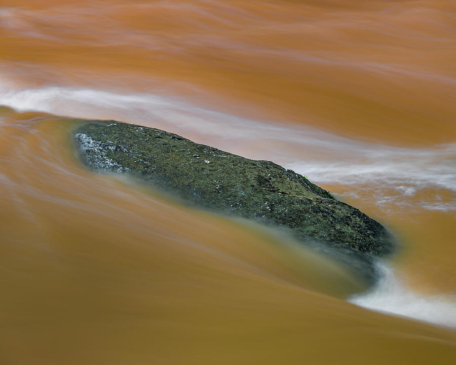 With The Flow by Patrick M Lynch With The Flow by Patrick M Lynch