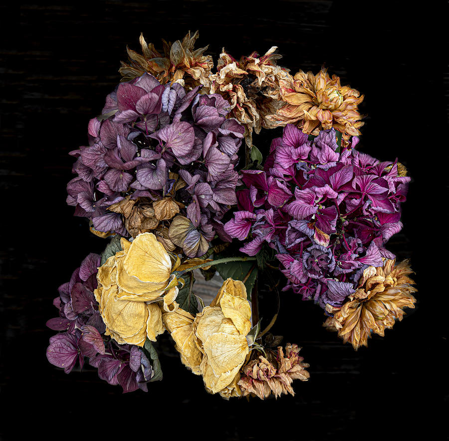 Withered Flowers Photograph by Fred Louwen