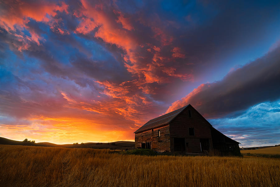 Farm Photograph - Witness Of Sunset by John Fan