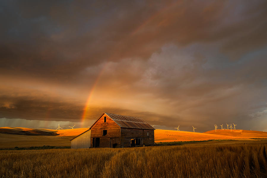 Witness Of The Rainbow Photograph by John Fan