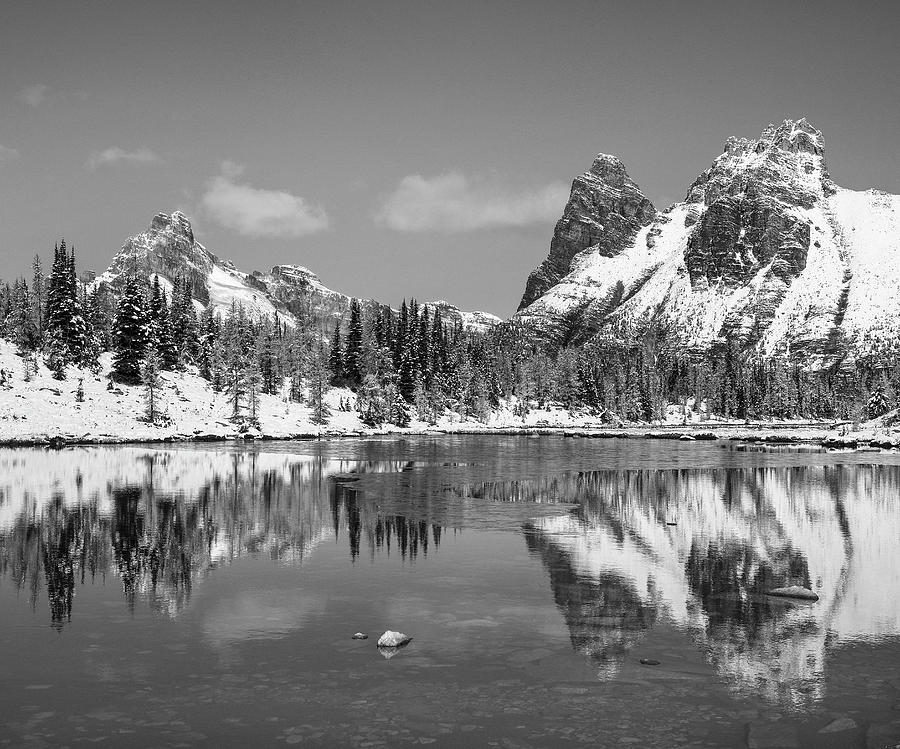 Wiwaxy Peaks Reflected British Columbia Photograph by Tim Fitzharris