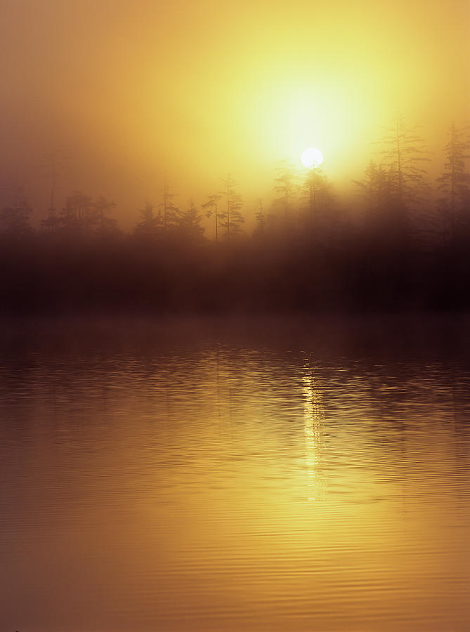 Woahink Sunrise Photograph by Robert Potts