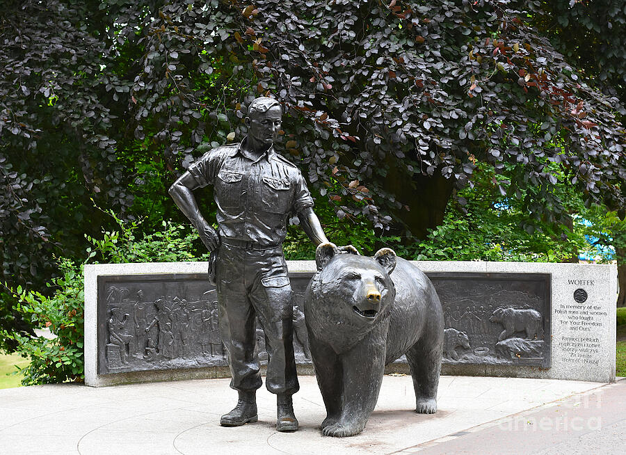 Wojtek - The Soldier Bear - War Memorial Photograph by Yvonne Johnstone