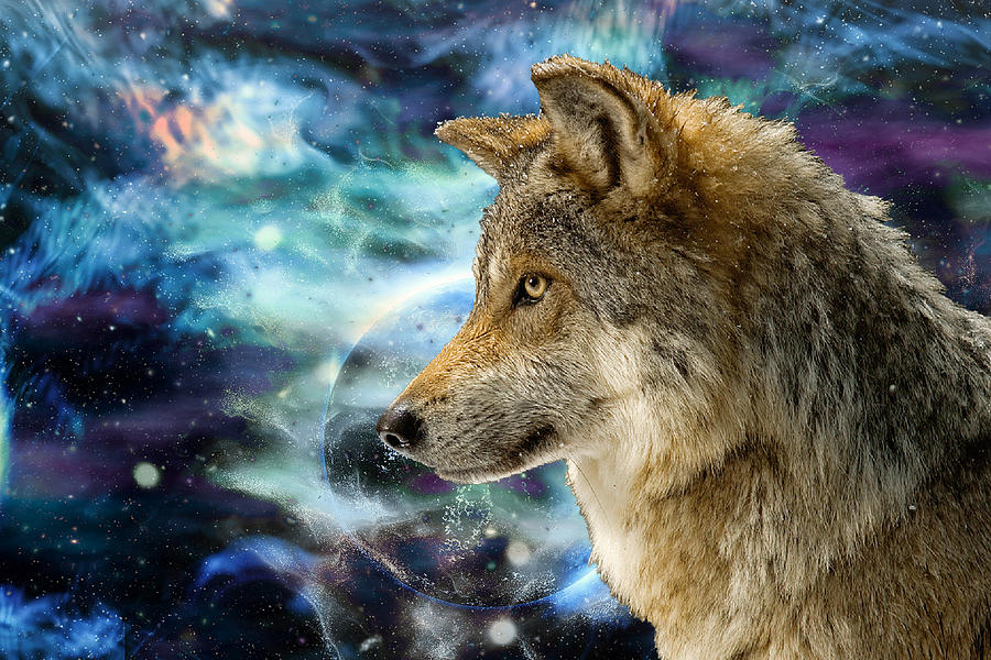 Wolf and Planets Digital Art by Erika Kaisersot - Fine Art America