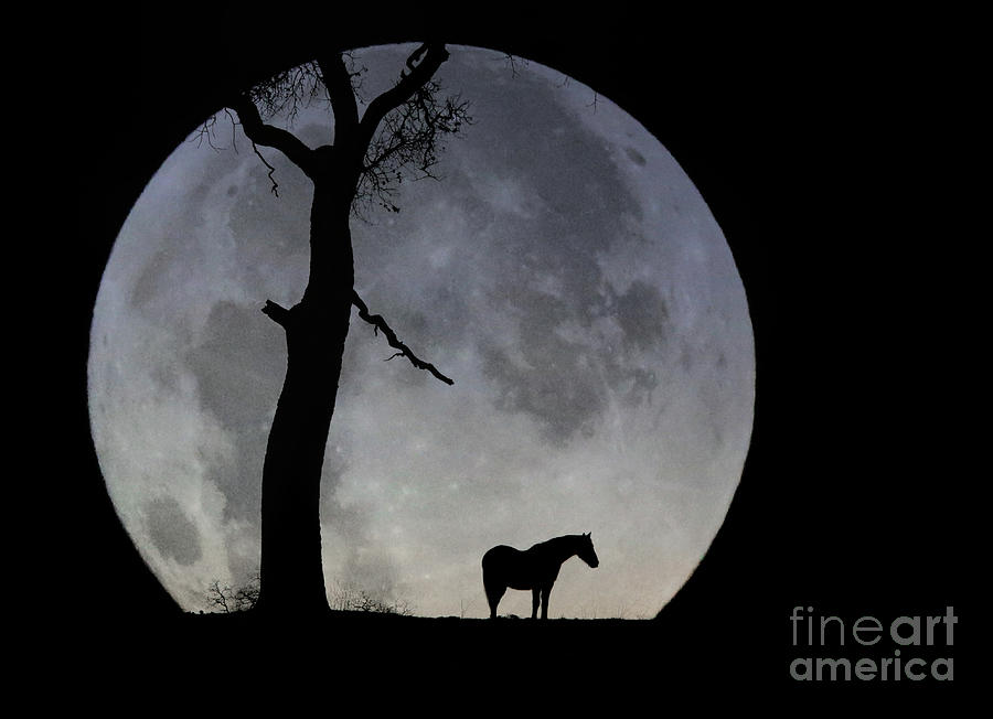 Wolf Blood Moon with Horse and Oak Tree Silhouette  Photograph by Stephanie Laird
