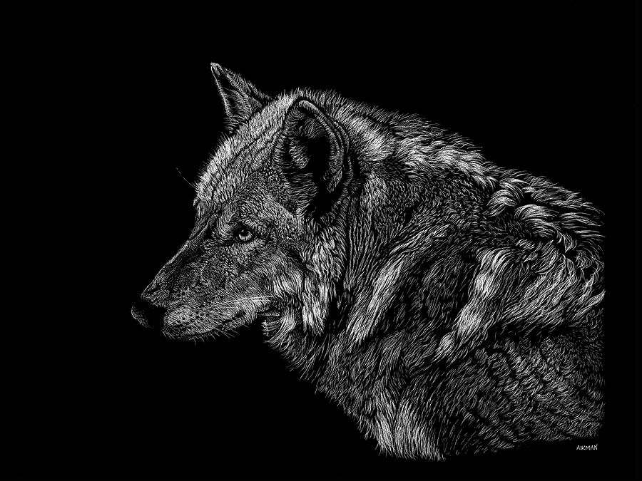 Animal Painting - Wolf by Geraldine Aikman