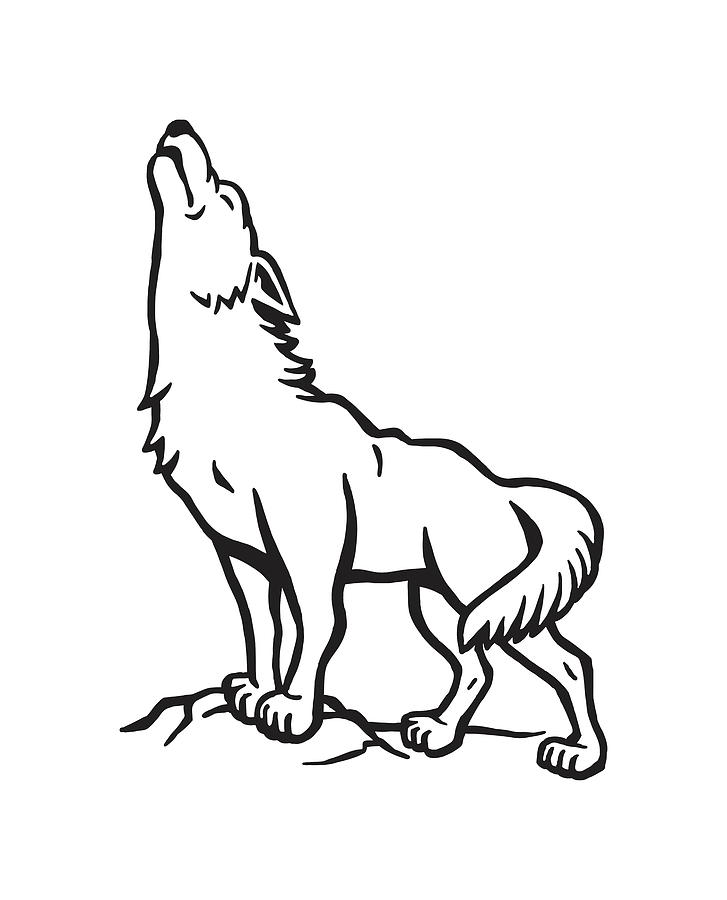 howling wolf drawings