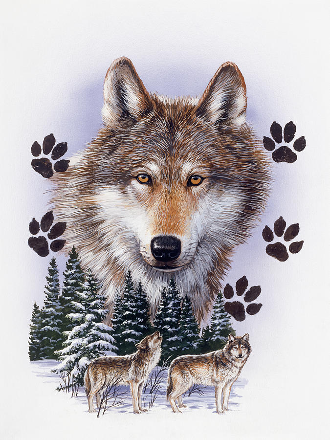 Wolves Painting - Wolf Montage/ Winter by William Vanderdasson