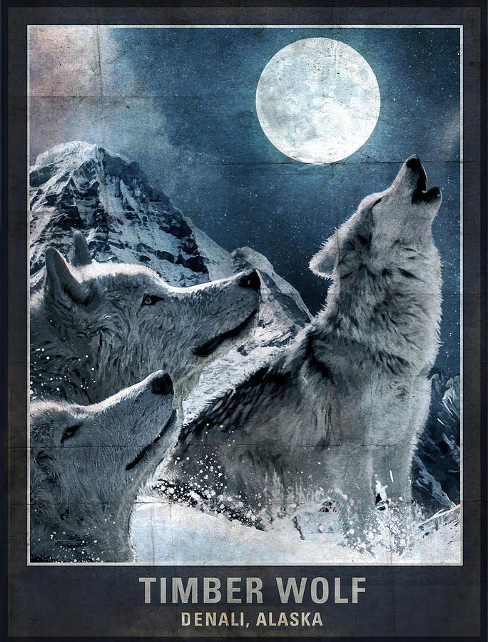 Mountain Mixed Media - Wolf Moon by Old Red Truck