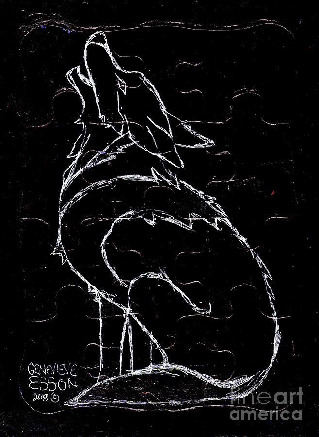 Wolf On Black Drawing