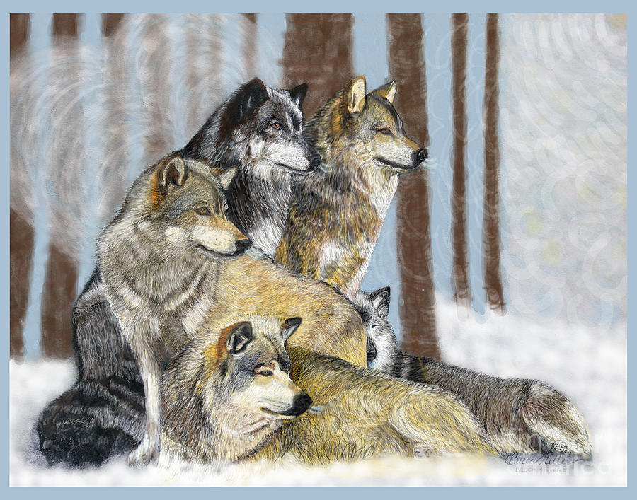 Wolf Pack Drawing by Becca Miller