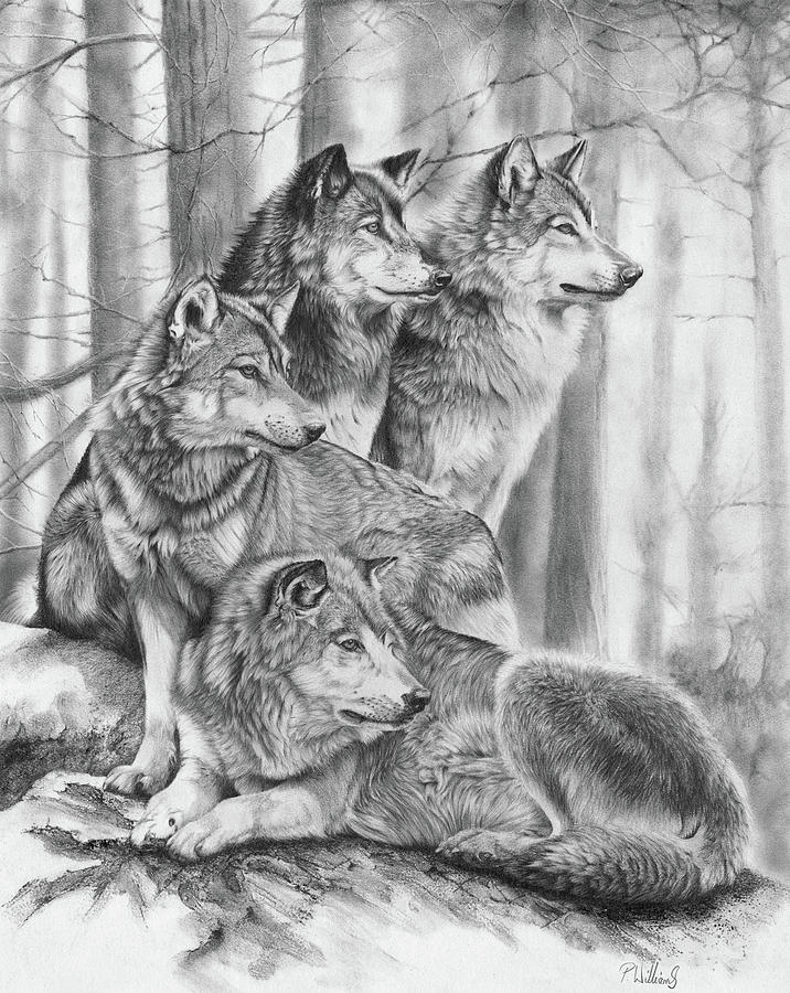 Wolf Pack Drawing