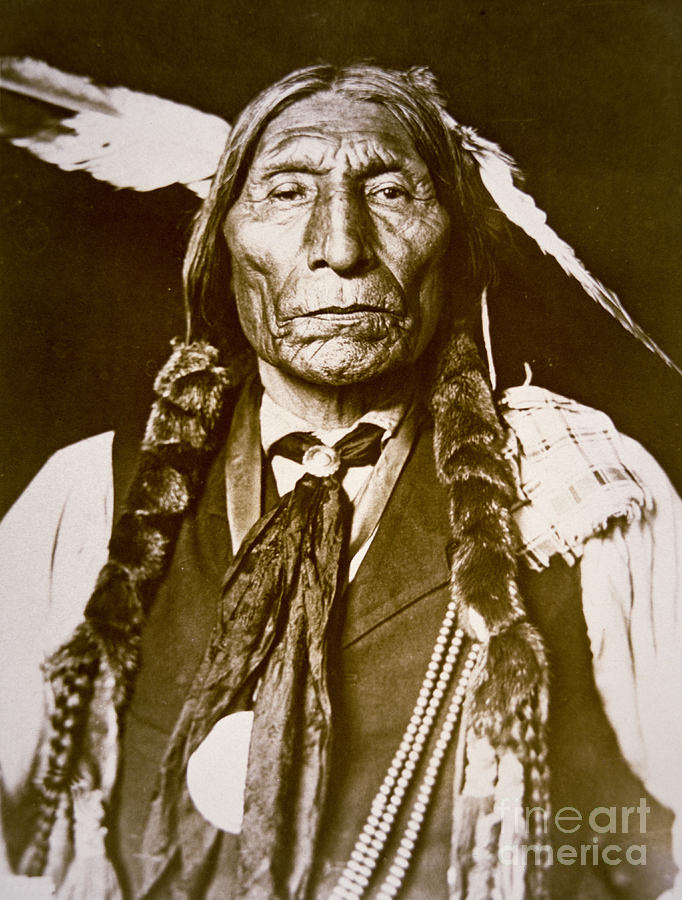 Feather Photograph - Wolf Robe by Delancey W. Gill