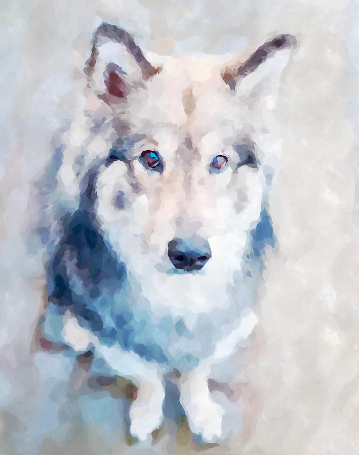 Wolfdog Painting by Chris Butler