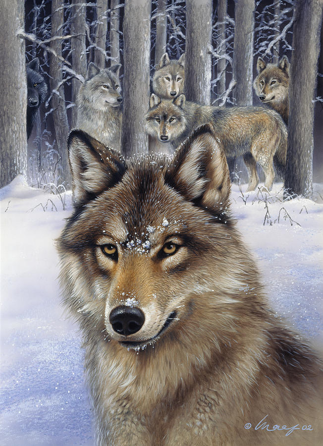 Animal Painting - Wolfpack by Harro Maass