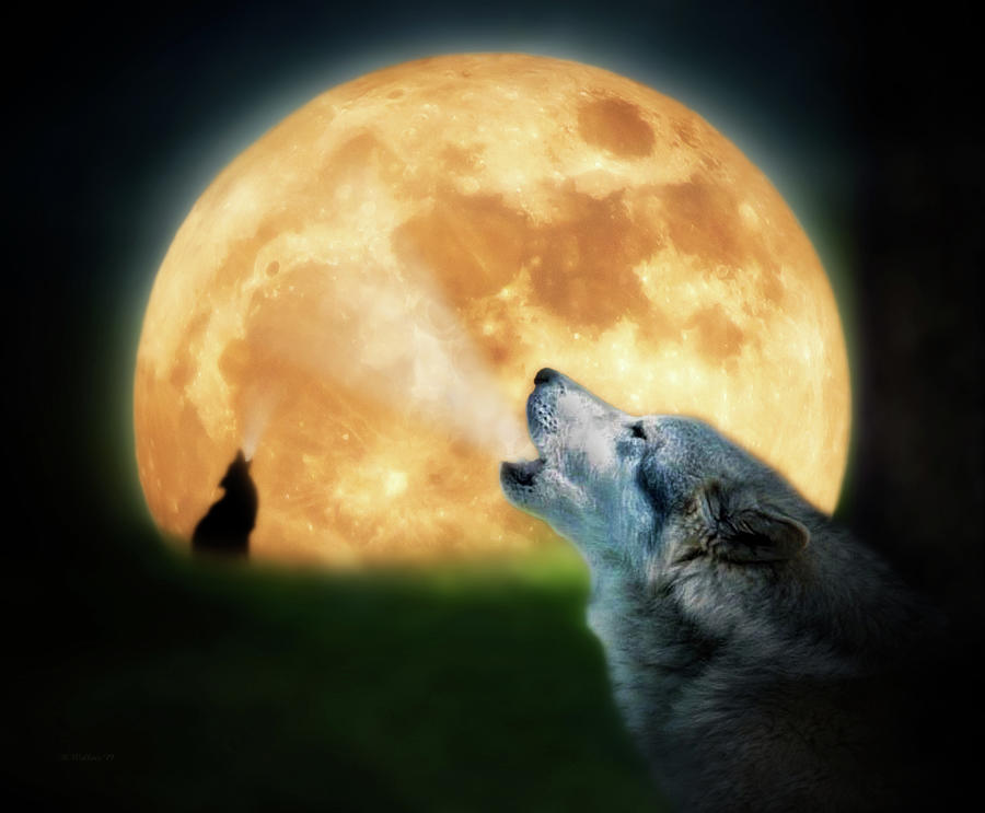 Wolfs Breath Digital Art by Brian Wallace