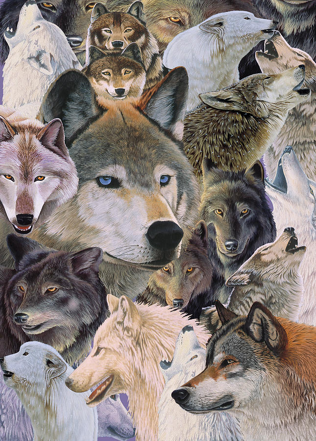 Animals Painting - Wolves Alive by Graeme Stevenson Animals Painting - Wolves Alive by Graeme Stevenson